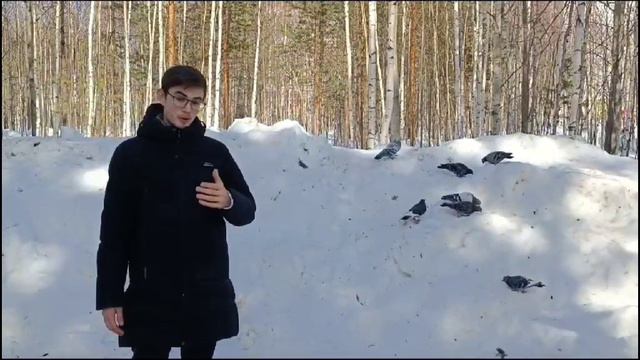 Ткаченко Максим стихи из книги Маятник звезды смотреть онлайн