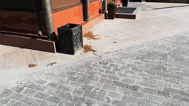 Встреча в Москве с Василием, Канал "Дача от А до Я" смотреть онлайн