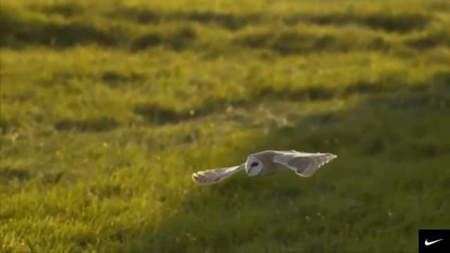 ПОТРЯСАЮЩАЯ  индейская Этническая Музыка и ВИДЕО ДЛЯ ДУШИ))#музыка души#