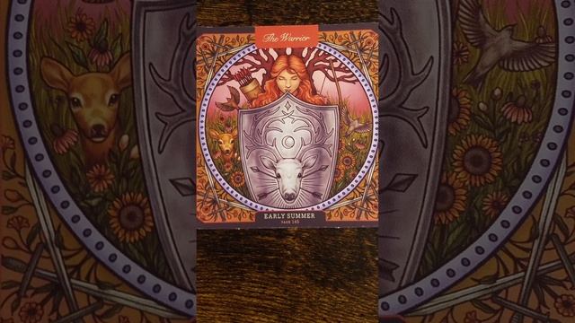 The Warrior ? Advocate Change ? Wild Wisdom Companion Oracle card meaning смотреть онлайн