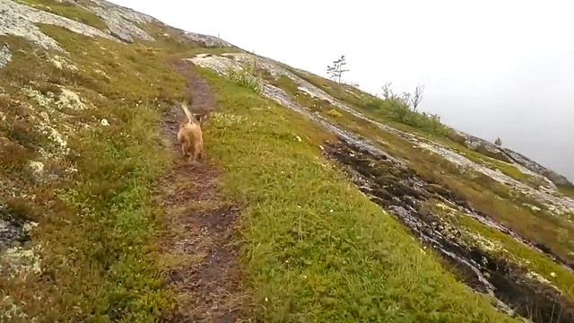 Спуск с горы Немецкий Кузов, 2015 смотреть онлайн