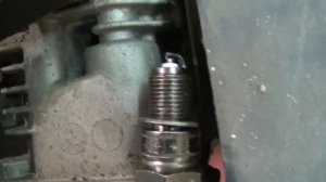 Нет искры на газонокосилке производства USA. Поможет Lifan