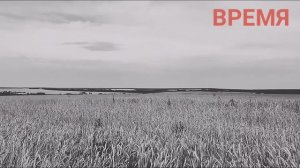 Вадим Кочетков " За того парня " ?2021