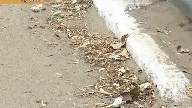 В загрязненных пылью и выхлопными газами городах увеличивается заболеваемость раком смотреть онлайн