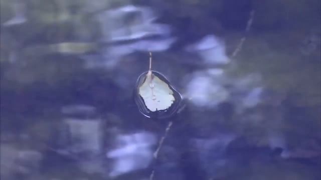 Тайные стороны желаний 13 смотреть онлайн