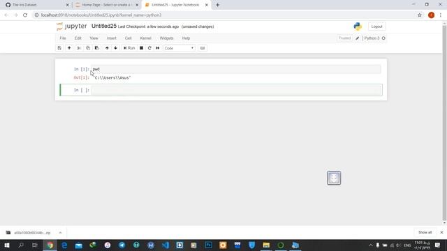 how to load dataset in jupyter notebook смотреть онлайн