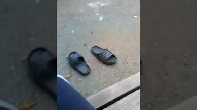 Новые тапки :) смотреть онлайн