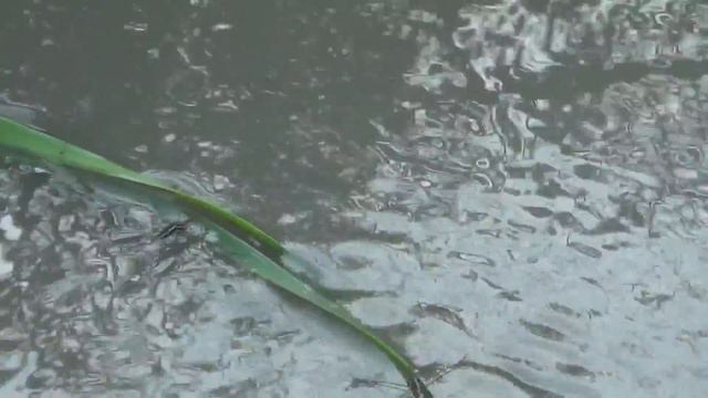 р.Таловка смотреть онлайн