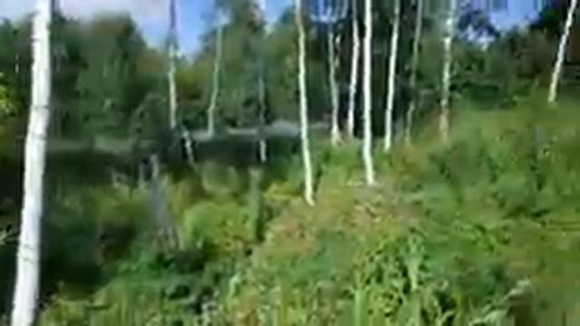СОБРАЛИ 60 ЛИТРОВ ЗЕМЛЯНИКИ ЗА 3 ДНЯ!!! Сколько мы заработали ?? смотреть онлайн