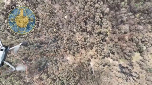 Воздушный таран дрона ВСУ/Air Ram Of The AFU Drone