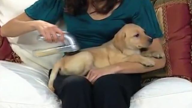 Pet Pal машинка для вычесывания шерсти. PetPal отзывы смотреть онлайн