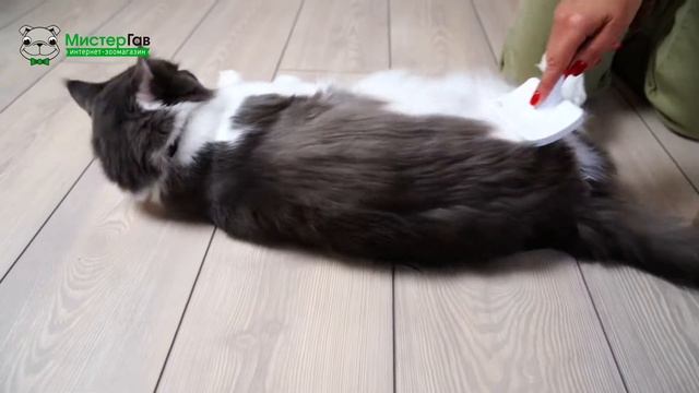 Фурминатор или пуходерка? смотреть онлайн