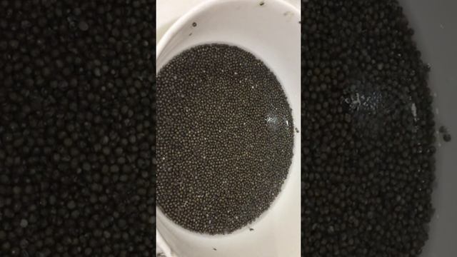 Засолка рыбы и икры в домашних условиях