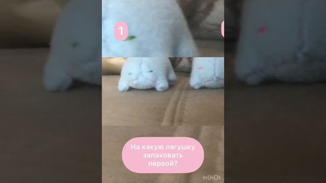 🌿🍄какую лягушку запаковать первой?🍄🌿 смотреть онлайн