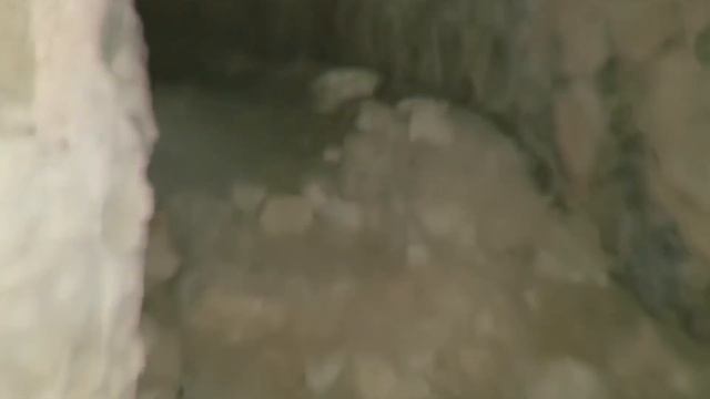 Страшные Видео с Необъяснимыми Монстрами Которые Заставят Вас Дрожать смотреть онлайн