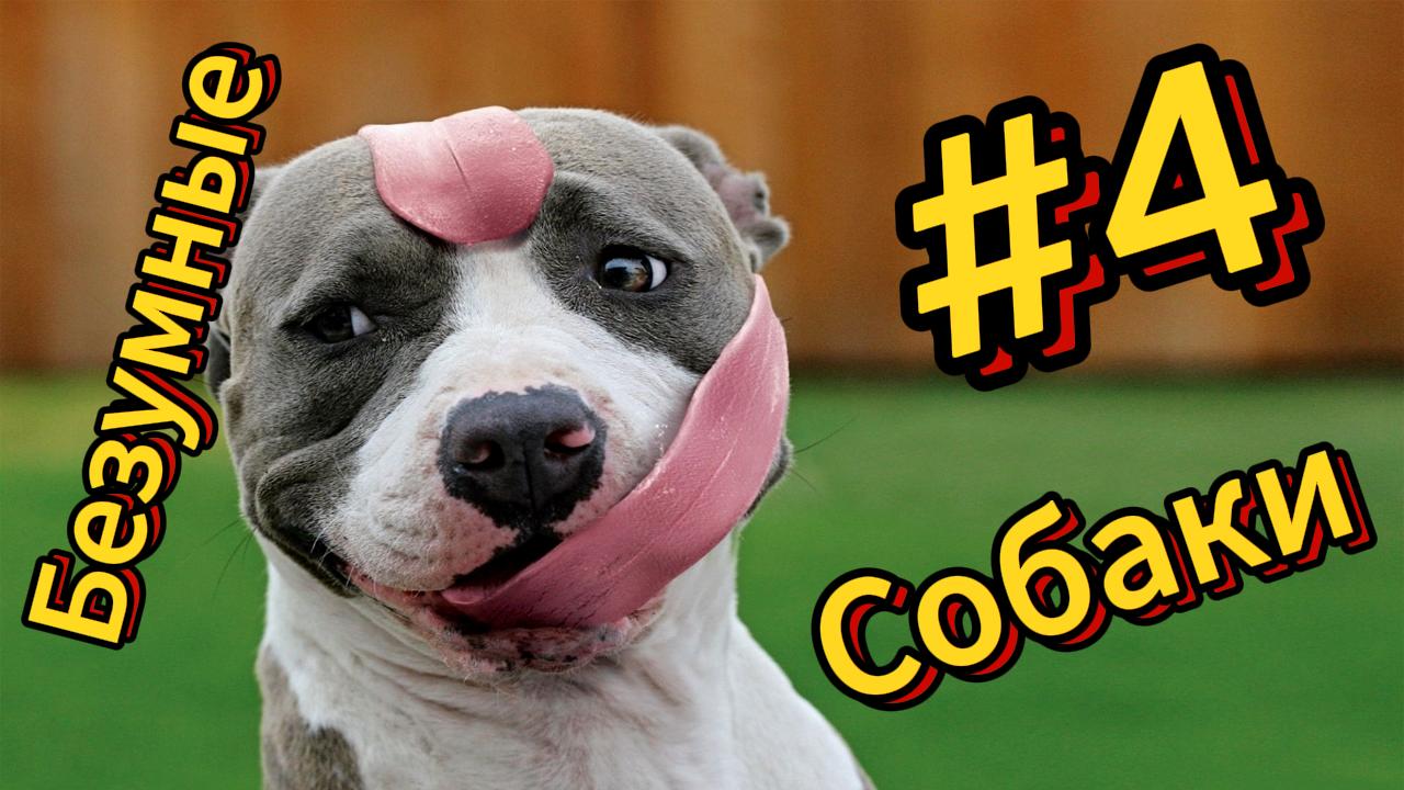 ДО СЛЁЗ ? 5 Минут ОТБОРНЫХ фейлов и приколов | Смешные видео - Лучшие ПРИКОЛЫ 4 смотреть онлайн