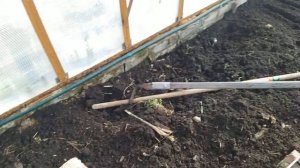 Как посадить редиску в теплице пораньше/ Ранняя редиска