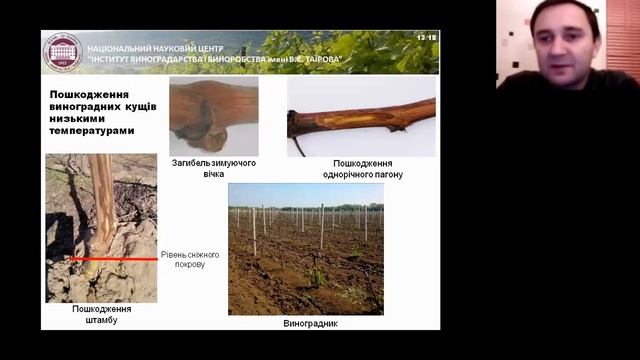 Вебінар «Обрізка виноградного куща» смотреть онлайн