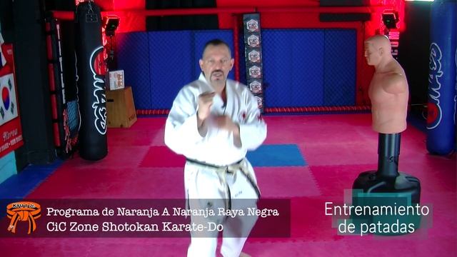 How To Learn Karate Online FreeCinta Naranja Raya Negra Part 2, Shotokan Karate Do  Orange  Stripe