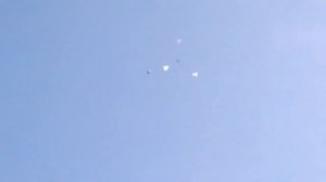 Голуби Николаевские г. Саратов Игорь М. 89372624743