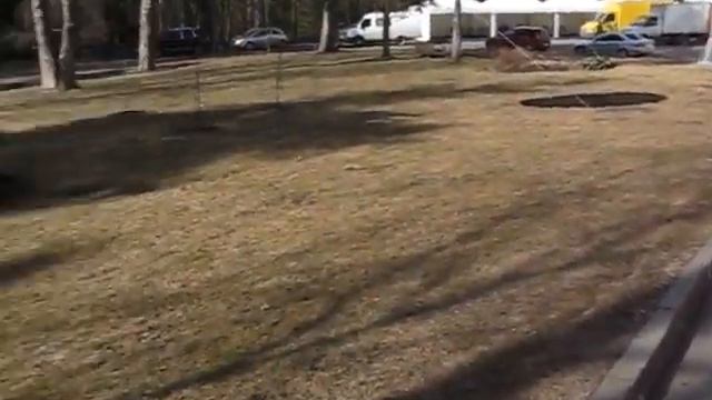 Вид на главный корпус смотреть онлайн