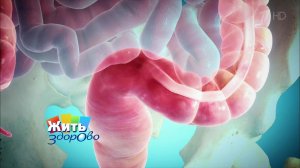 Геморрой. Здоровье важнее неловкости. Жить здорово! Фрагмент выпуска от 22.03.2016