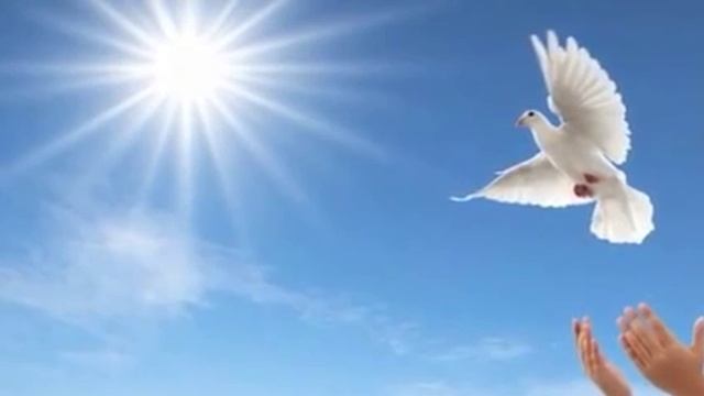 МУЖЧИНЫ НЕ ПЛАЧУТ смотреть онлайн