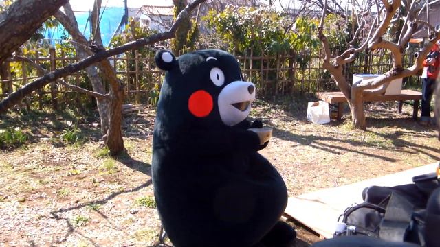 くまモン　　神奈川県二宮町☆徳富蘇峰記念館　＜２＞　2013.02.10 смотреть онлайн