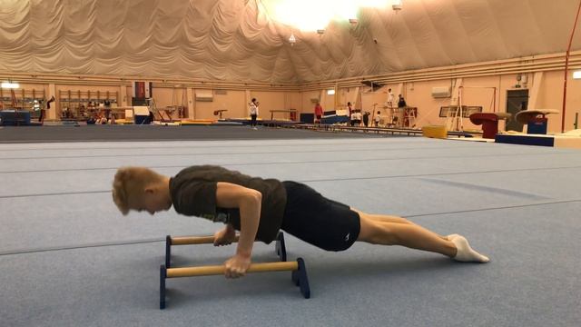 5 БАЗОВЫХ ЭЛЕМЕНТОВ НА ГИМНАСТИЧЕСКИХ СТОЯЛКАХ смотреть онлайн