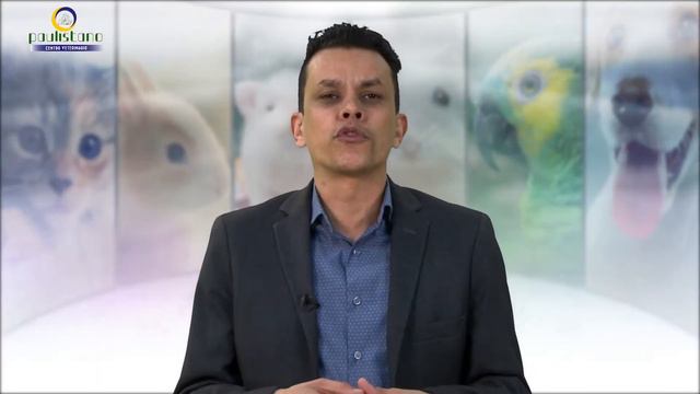 Apresentação do Canal - Paulistano Vet - Dr. David Belém смотреть онлайн