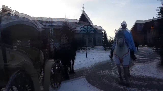 Предложение руки и сердца. 25.01.2017.