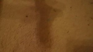 Пылесос thomas twin tt часть 3.Vacuum cleaner thomas twin tt part 3