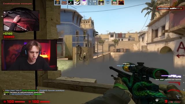 СЫГРАЛ НА СЕКРЕТНОЙ МЫШКЕ КИБЕРСПОРТСМЕНОВ (CS:GO) смотреть онлайн