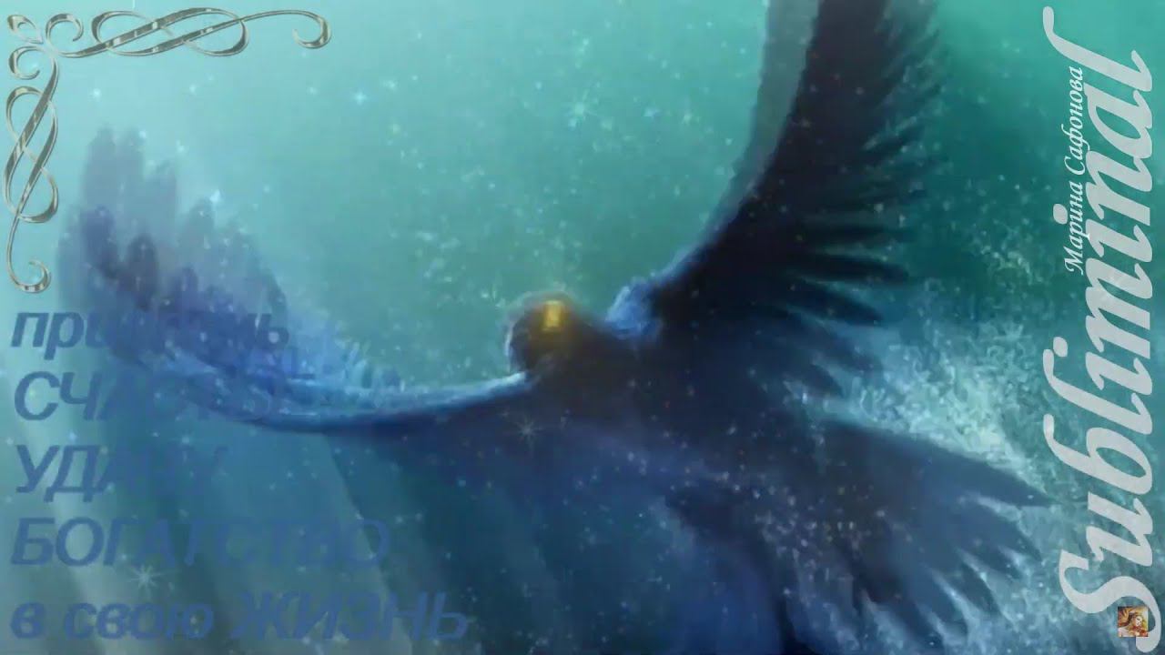 ⚠️ ПРИВЛЕКИ СЧАСТЬЕ УСПЕХ УДАЧУ ВЕЗЕНИЕ БОГАТСТВО ДЕНЬГИ ПРОЦВЕТАНИЕ Subliminal Саблиминал⚠️ смотреть онлайн