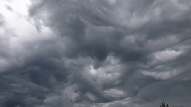 Необычное шоу природы. смотреть онлайн