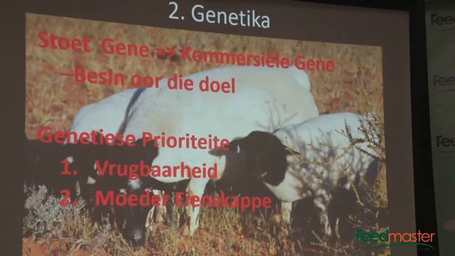 Die winsdrywers van ekstensiewe skaapboerdery - Pieter van Schalkwyk смотреть онлайн