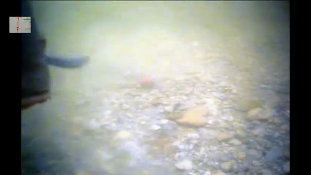 Поклевка ЛИНЯ под водой, насадка- бойл на волосе. Подводная Съемка, рыбалка, fishing смотреть онлайн