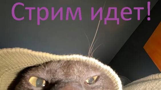 😱RANKED PUBG 10k ЧАСОВ 😱📹