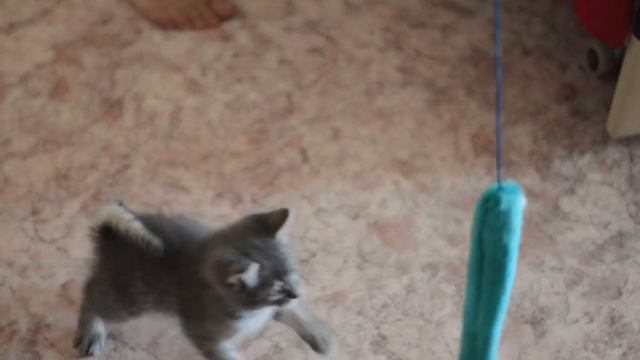 КАК ДО МЕНЯ ДОМОГАЛИСЬ // ИСТОРИЯ ИЗ ЖИЗНИ смотреть онлайн