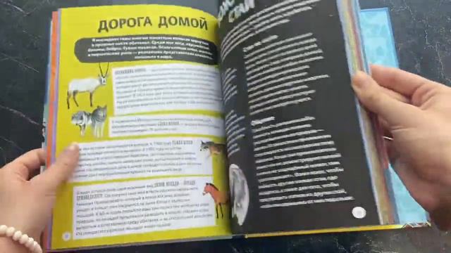 Герои животного мира: Удивительные истории, рекорды и подвиги смотреть онлайн