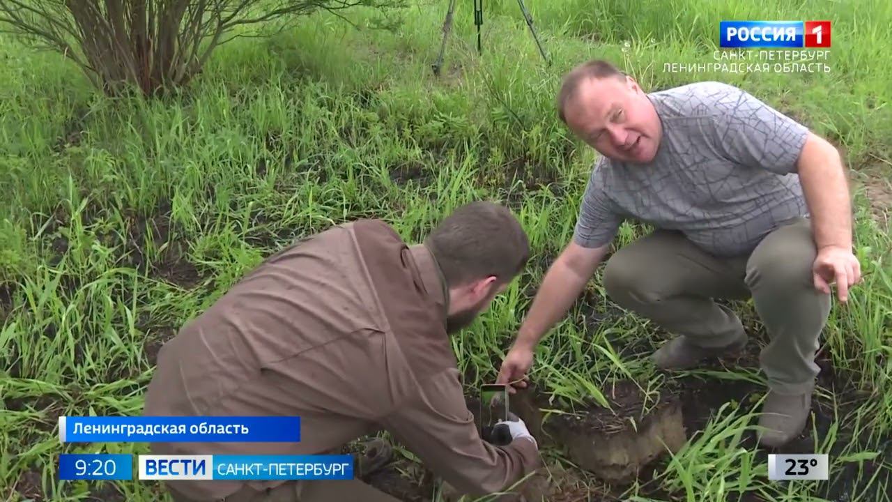 Учёные СПбГЛТУ работают над оценками последствий весенних палов и лесных пожаров смотреть онлайн