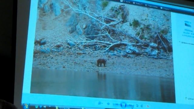 Доклад М.Суптель. Поход по Охотскому морю на катамаране "Котоярви". Часть 2. смотреть онлайн