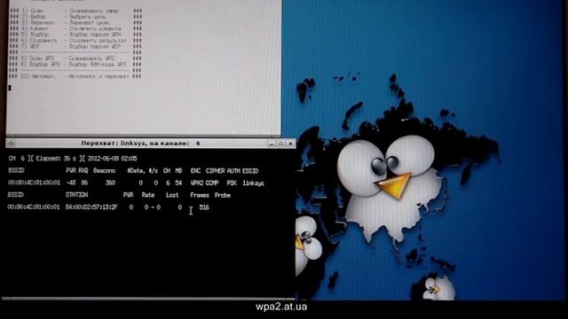 Подбор пароля wpa.avi смотреть онлайн