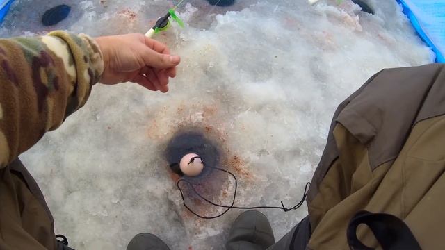 Рыбалка зимой в ПАЛАТКЕ с печкой. Ловим ПЛОТВУ на водохранилище 1 Января. смотреть онлайн