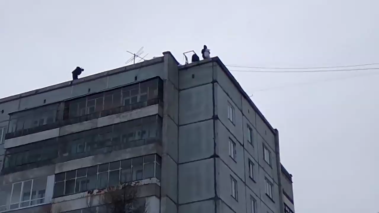 Экспресс погрузка по-красноярски смотреть онлайн