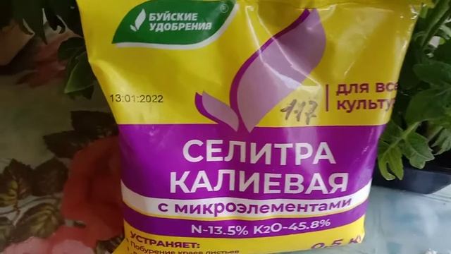 КАЛИЙНЫЕ УДОБРЕНИЯ: СЕЛИТРА КАЛИЕВАЯ (НИТРАТ КАЛИЯ). ОБЗОР. ОПИСАНИЕ. ХАРАКТЕРИСТИКА.