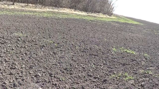 Копаем серебро на Tesla смотреть онлайн