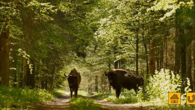 Кругосветное путешествие "Хочувсёзнайки" смотреть онлайн