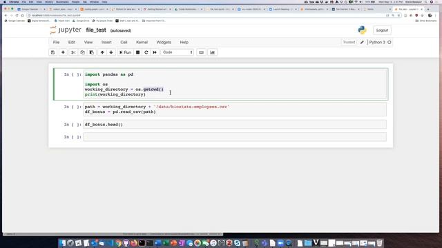 Loading a data file into a local Jupyter notebook under Mac OS смотреть онлайн