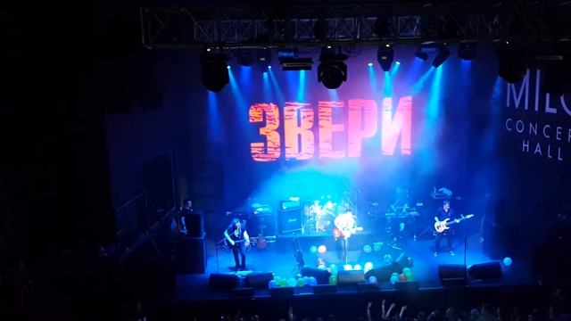 Звери "Лапами вверх" смотреть онлайн